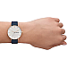 Skagen SKW3090